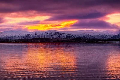 Arctic Fire