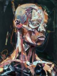 Anatomical Study B.