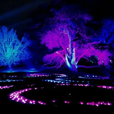 Lightscape - ground lights #1