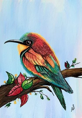 Colorful Hummingbird