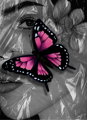 Break Free