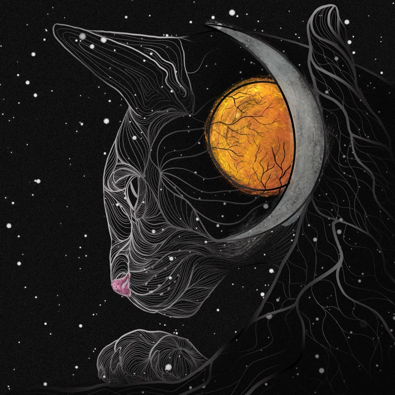 Eye of the Cosmos –