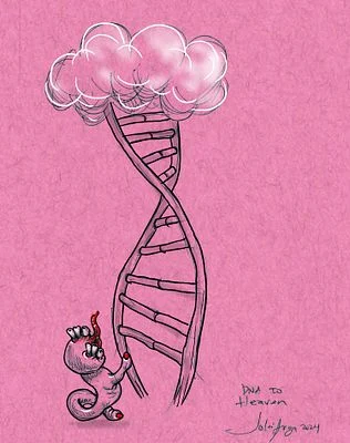 DNA to heaven