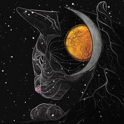 Eye of the Cosmos –