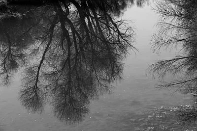 Reflection