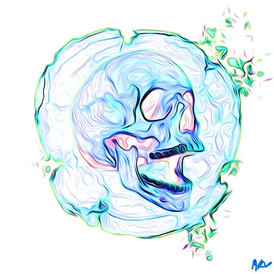 Skull 1