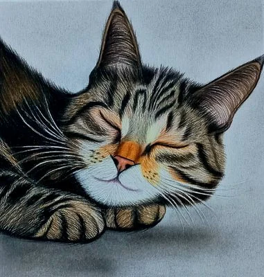Sleep Well