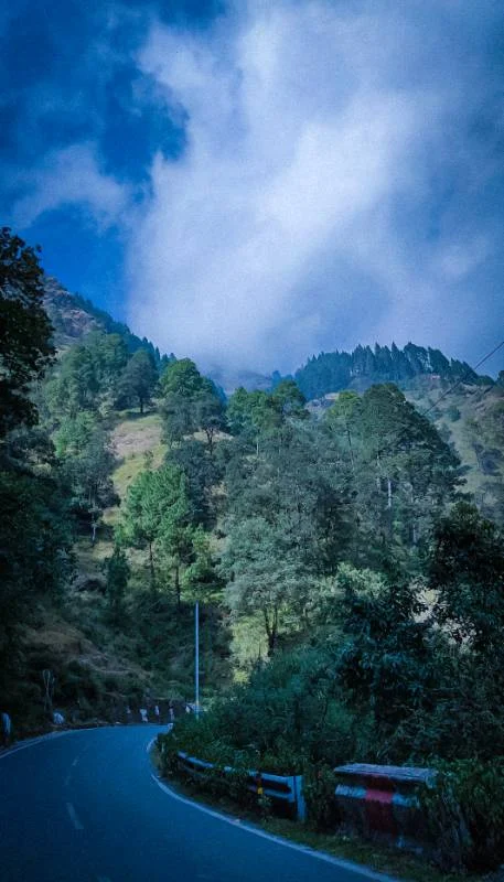 Journey to Peace 🌿