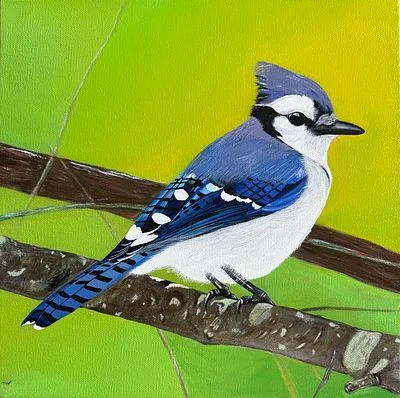 The Blue Jay