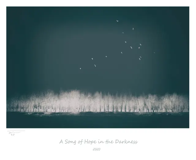 A Song of Hope in the Darkness