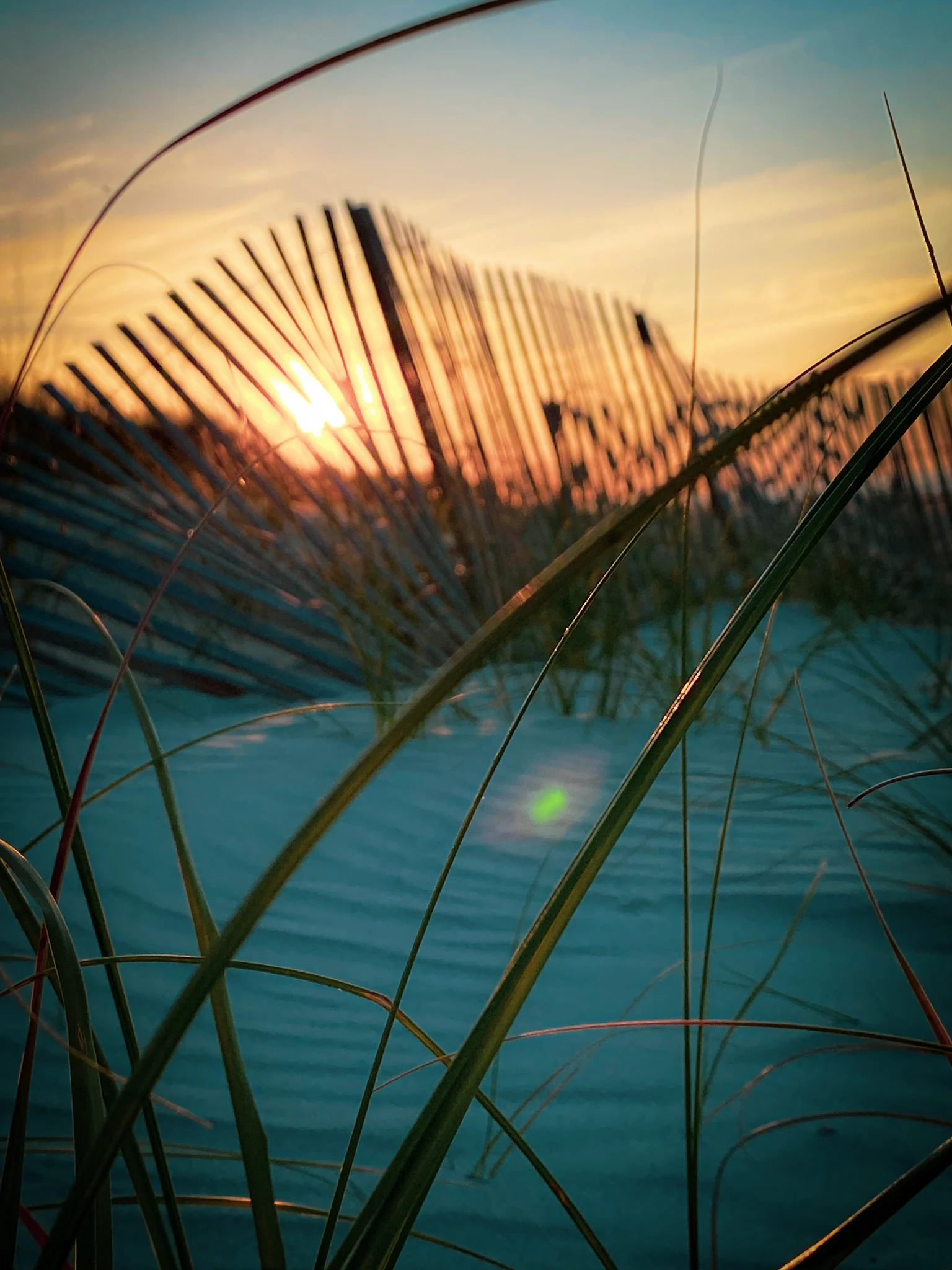 Sunrise in NC