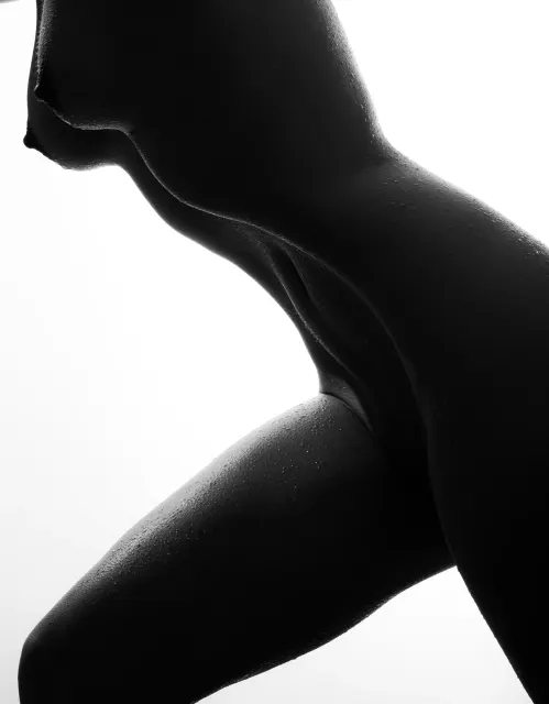 Curve Hypnosis
