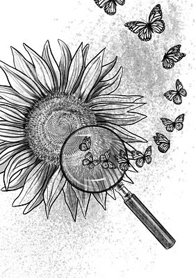 In The Search of Beauty