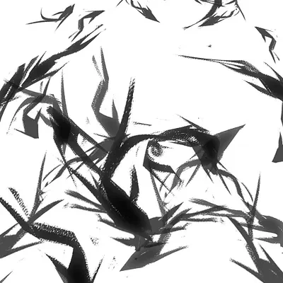 Black fish