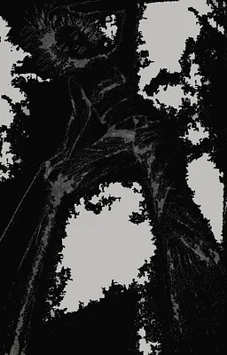 I Am Rising, See It