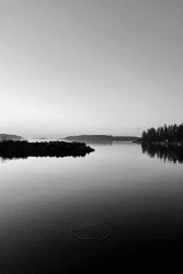 Summer Doldrum Diary - part 18