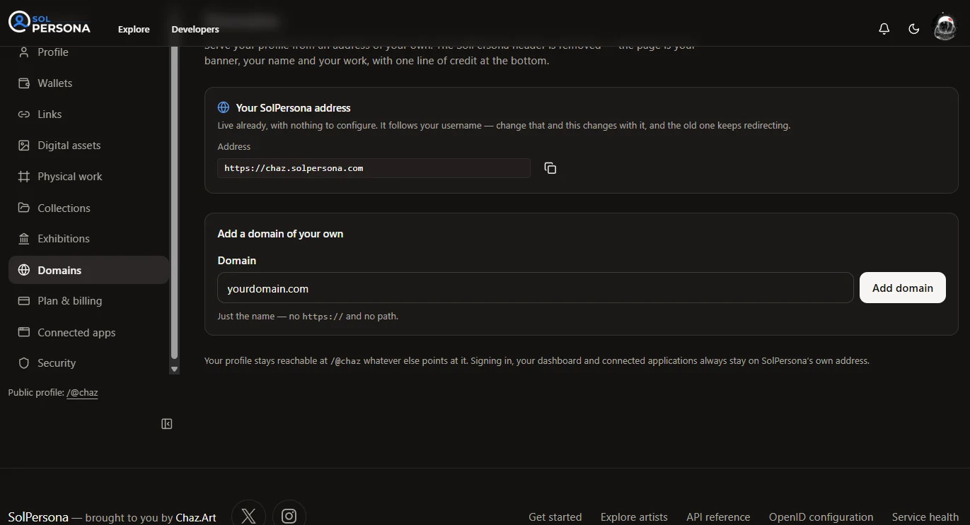 Connect a custom domain — screenshot